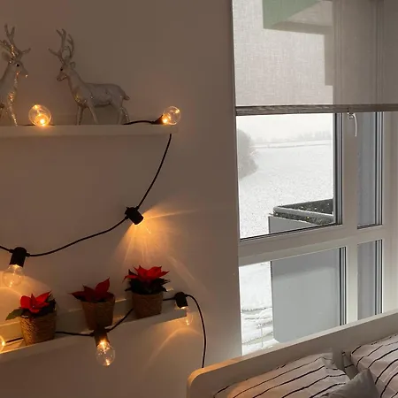 Flow Apartment